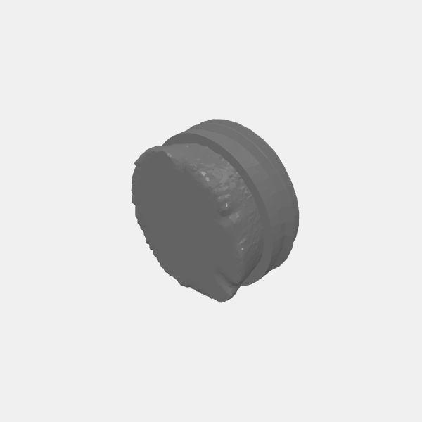 Potion Bottle Dice Jar - Cork Lid - Plain v1.1.stl